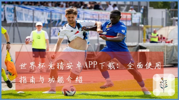 世界杯竞猜安卓APP下载：全面使用指南与功能介绍