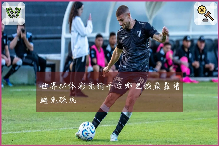世界杯体彩竞猜平台哪里找最靠谱避免踩坑