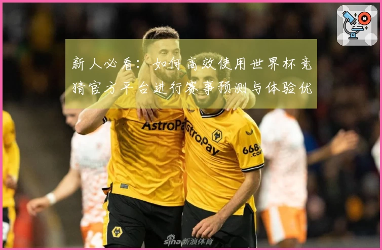新人必看：如何高效使用世界杯竞猜官方平台进行赛事预测与体验优化