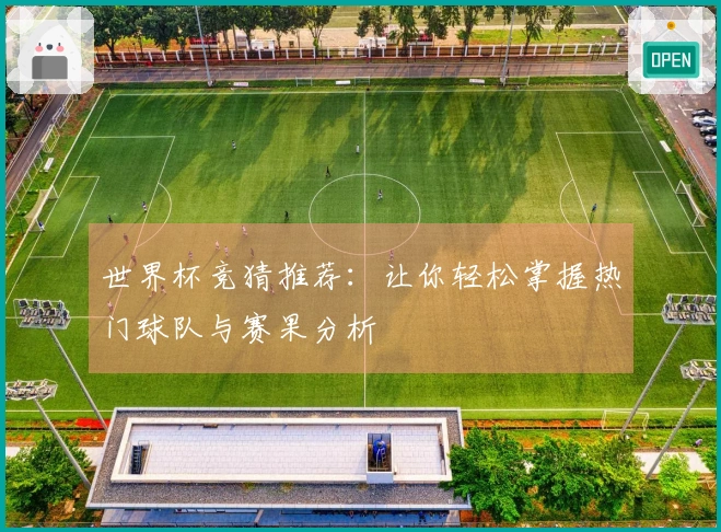 世界杯竞猜推荐:让你轻松掌握热门球队与赛果分析
