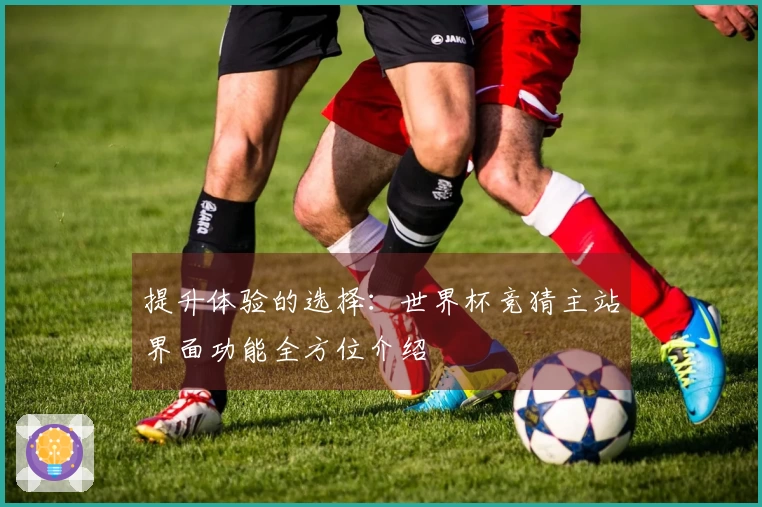 提升体验的选择：世界杯竞猜主站界面功能全方位介绍