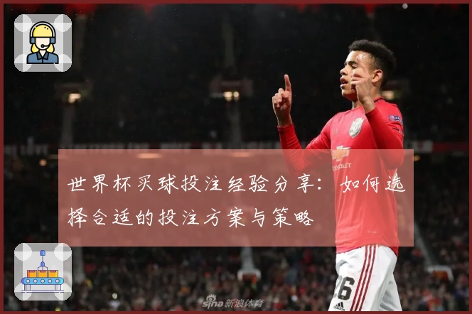 世界杯买球投注经验分享：如何选择合适的投注方案与策略