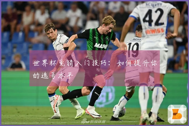 世界杯竞猜入门技巧:如何提升你的选号水平