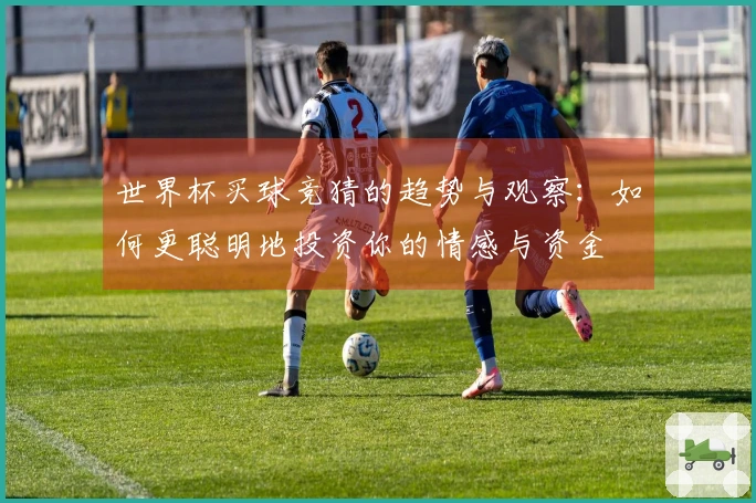 世界杯买球竞猜的趋势与观察:如何更聪明地投资你的情感与资金