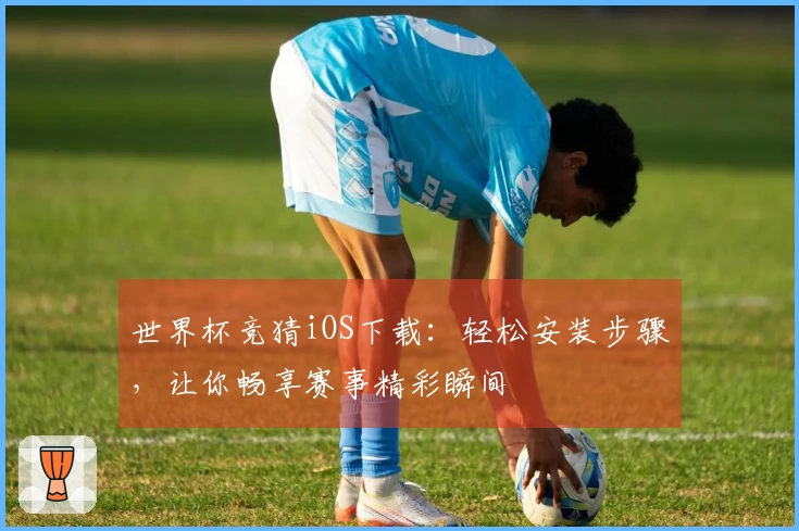 世界杯竞猜iOS下载：轻松安装步骤，让你畅享赛事精彩瞬间