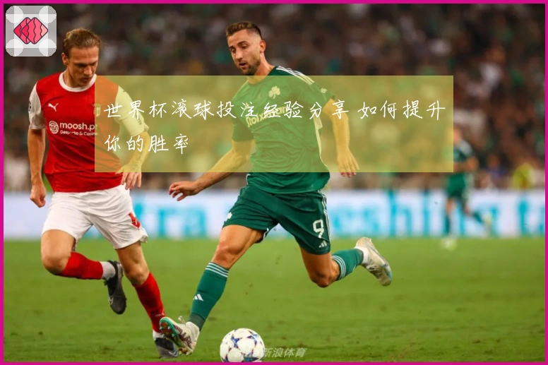 世界杯滚球投注经验分享 如何提升你的胜率