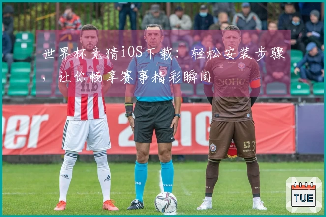 世界杯竞猜iOS下载：轻松安装步骤，让你畅享赛事精彩瞬间